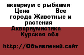 аквариум с рыбками › Цена ­ 15 000 - Все города Животные и растения » Аквариумистика   . Курская обл.